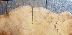 Live Edge Epoxy Tabletop Spalted Sycamore 5 small