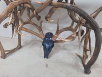 Deadhead Elk & Mule Deer Sofa Table 3 small