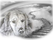 Pet Memorial Portrait, Pet Portrait, Pet Memorial, Rainbow Bridge 4 small