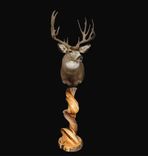 Handmade Twisted Juniper Taxidermy Pedestal 1 small