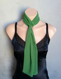 Green Chiffon Scarf 5 small