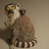 Lemur 1 small