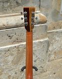 Pinol Guitars And Ukuleles Solid Cocobolo Rosewood Body/Mahogany Top ( Free Shipping) 7 small