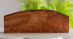 Life On Mars Propagation Vase 2 small