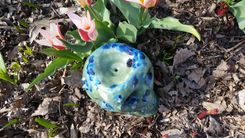 Crystal Skull Water Pipe 4 small