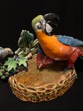 Ceramic Sculpture Of Macaw And Thrush 2 small