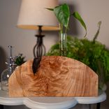 Propagation Vase:  Moondance 1 small