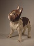 French Bulldog — Bean 1 small