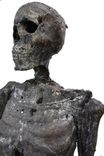 Halloween Prop Desiccated Mummy/Skeleton 2 small