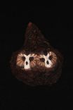 Owl Hand Carved And Sculpted 2 small