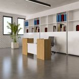 Mayer Reception Desk 1 small