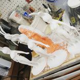 Molding And Casting 4 small