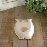 Elegant Checks Owl Decor Decorative Dish 4 small