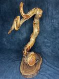Twisted Pine Taxidermy Pedestal 4 small