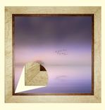 Picture/Mirror Frames And Shadow Boxes 1 small