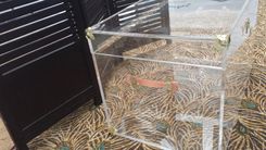 Acrylic Storage Chest 1 small
