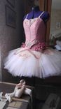 Custom Ballet Tutu Or Performance Costume 2 small