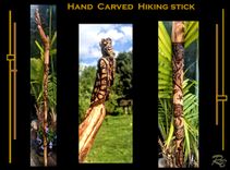 Carved Hiking Stick, Turtle, Walking Stick, Hiking, Sticks 1 small