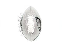 Philadelphia Eagles Crystallized Football Full Size Nfl Bling Genuine European Crystals Bedazzled 2 small