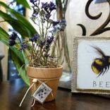 Hone Bee Gift Decor Bundle Set Of 4 6 small