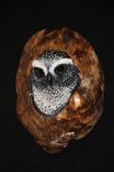 Hand Carved And Painted Owls In Oak 4 small