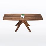 Rectangular Coffee Table, Midcentury Modern In Solid Walnut "Kapok" 1 small