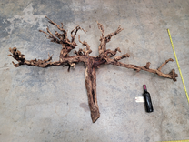 Rare Grape Vine Art From Opus 1 - Unpruned Retired Napa Cabernet Grapevine  100121-73 5 small