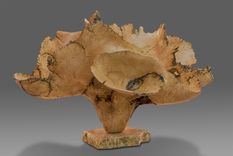 Box Elder Burl Carved Vessels 1 small