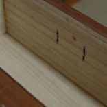 Kiri Wood Japanese Style Clothing Chest, Isho Dansu, Tansu 9 small