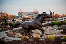 Bronze Running Horse | Life Size Bronzes - Custom Bronze Statues & Sculptures - Lost Wax Casting 1 small