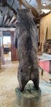 ** Example Piece ** Six Foot Tall Grizzly Bear Chainsaw Carving 6 small