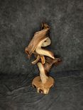 Triple Head Juniper Taxidermy Pedestal 6 small