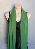 Green Chiffon Scarf 2 small