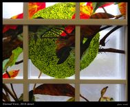 Fused Glass Mural 4 small