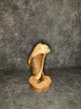 Single Head Juniper Taxidermy Pedestal 3 small