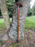 Walking Cane 1 small