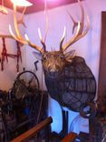 Elk Mount Sculpture 2 small