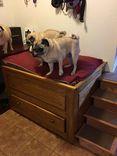 Dog Bed with stairs 7 small