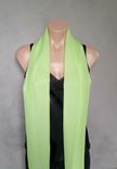 Mint Green Chiffon Scarf 2 small