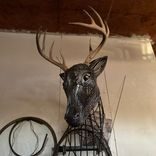 Whitetail Shoulder Mount 1 small