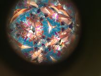 Kaleidoscope 5 small