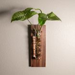 Propagation Vase - Walnut And Copper - Happy Together 1 small