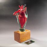 Glass Anatomical Heart 3 small