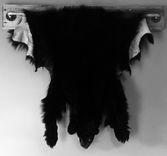 Bear Hide Display 3 small