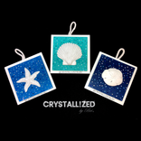 Crystallized Sea Shell Hanging Wall Plaque Beach Bling Decor Genuine European Crystals Bedazzled 1 small