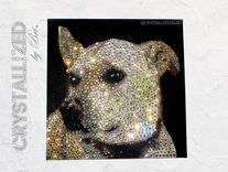 Custom Crystallized Pet Portrait Mini Dog Cat Animal Bling European Crystals 3 small