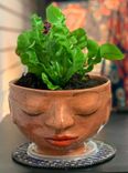 Face Planter 3 small