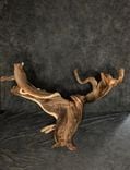 Triple Head Juniper Taxidermy Pedestal 4 small