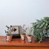 Hone Bee Gift Decor Bundle Set Of 4 5 small