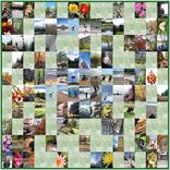 60 X 60 Family Photographs Art Quilt With Vert Photos 1 small